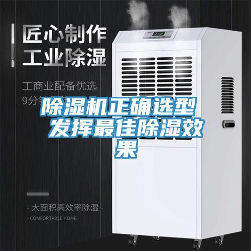 除濕機正確選型 發揮最佳除濕效果