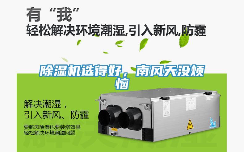 除濕機選得好，南風天沒煩惱