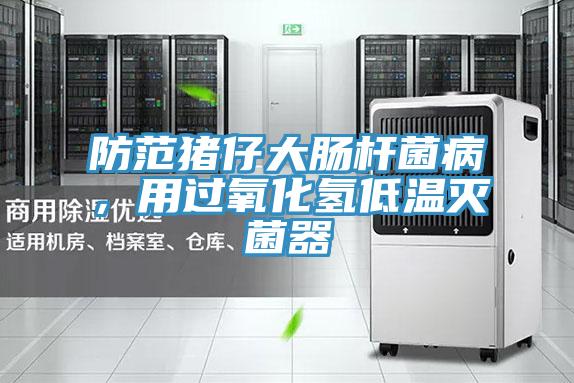 防范豬仔大腸桿菌病,用過氧化氫低溫滅菌器