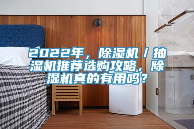 2022年,除濕機/抽濕機推薦選購攻略,除濕機真的有用嗎?