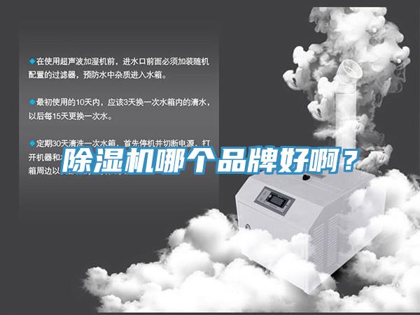 除濕機(jī)哪個(gè)品牌好啊？