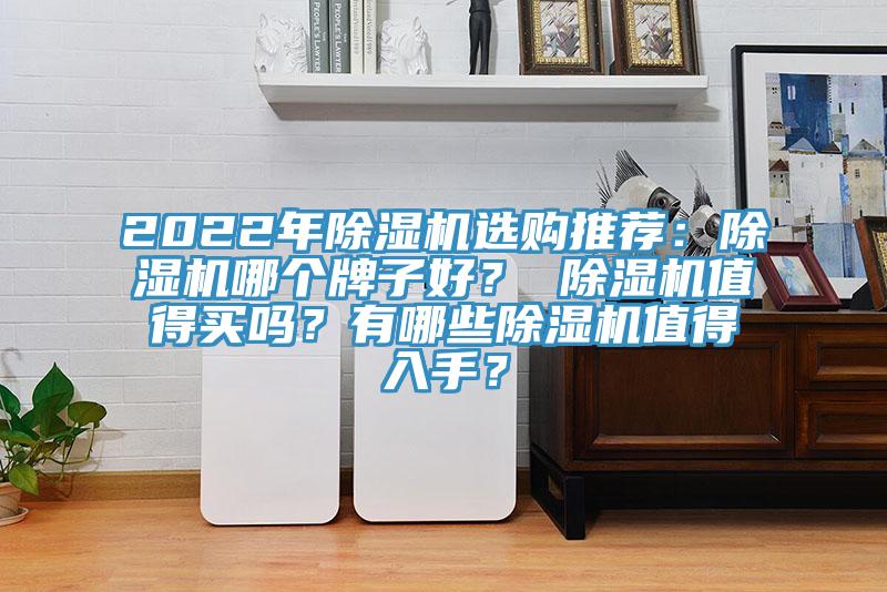 2022年除濕機選購推薦:除濕機哪個牌子好? 除濕機值得買嗎?有哪些除濕機值得入手?
