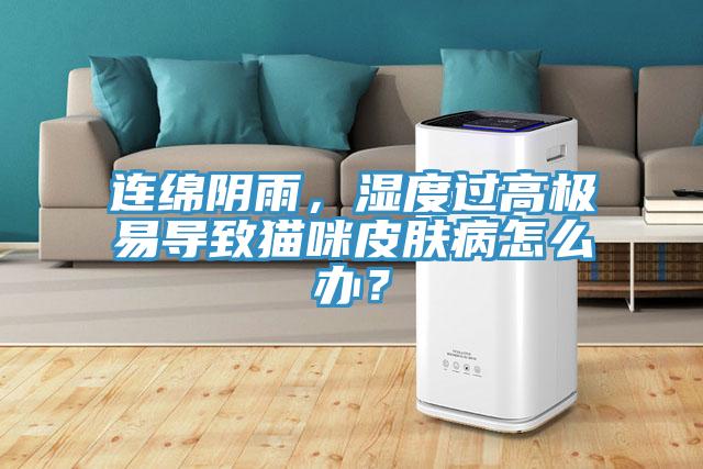 連綿陰雨,濕度過高極易導致貓咪皮膚病怎么辦?