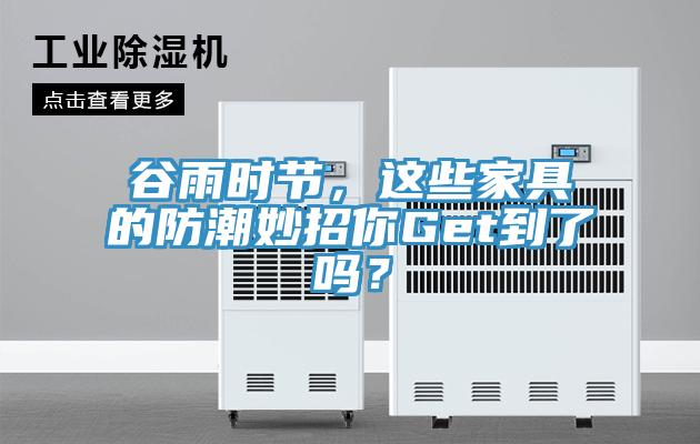 谷雨時節，這些家具的防潮妙招你Get到了嗎？