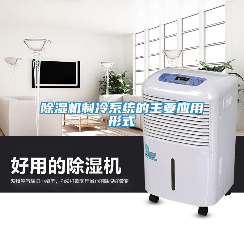 除濕機制冷系統的主要應用形式