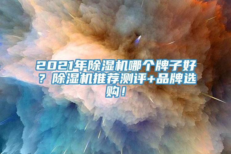 2021年除濕機哪個牌子好?除濕機推薦測評+品牌選購!