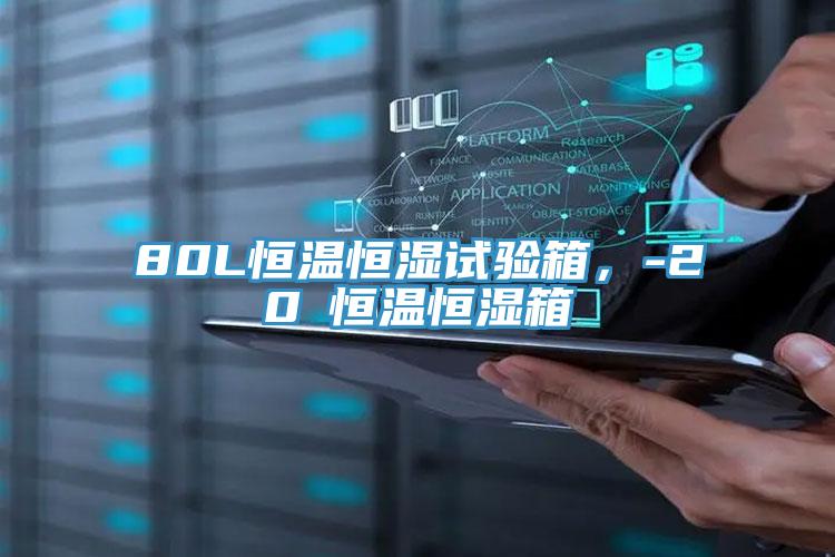 80L恒溫恒濕試驗箱，-20℃恒溫恒濕箱