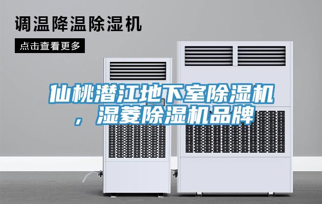 仙桃潛江地下室除濕機，濕菱除濕機品牌