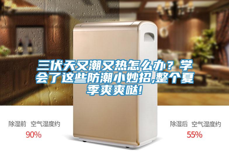 三伏天又潮又熱怎么辦？學會了這些防潮小妙招,整個夏季爽爽噠!