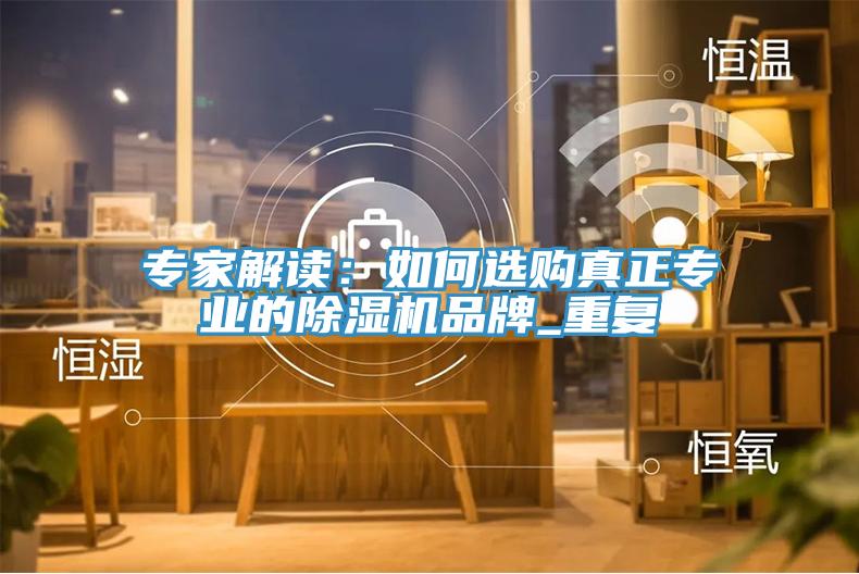 專家解讀:如何選購真正專業的除濕機品牌_重復