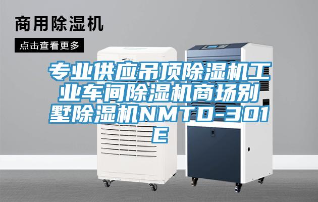 專業(yè)供應吊頂除濕機工業(yè)車間除濕機商場別墅除濕機NMTD-301E