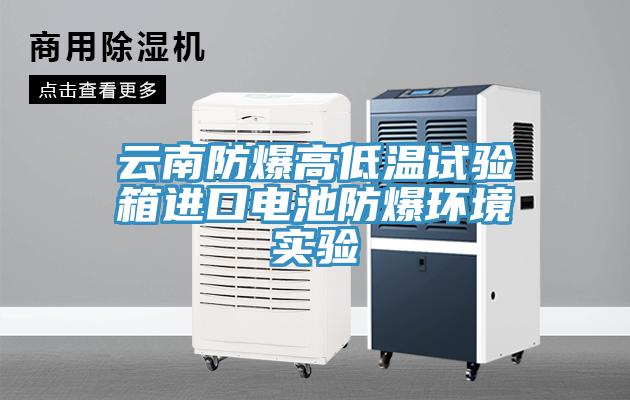 云南防爆高低溫試驗箱進口電池防爆環境實驗