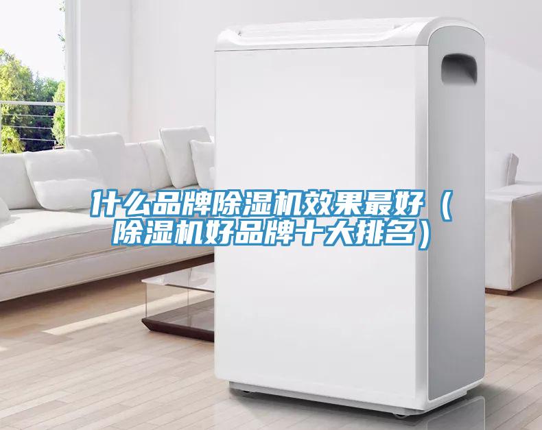 什么品牌除濕機效果最好(除濕機好品牌十大排名)