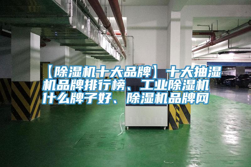 【除濕機(jī)十大品牌】十大抽濕機(jī)品牌排行榜、工業(yè)除濕機(jī)什么牌子好、除濕機(jī)品牌網(wǎng)