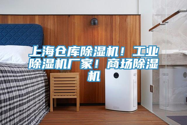 上海倉(cāng)庫(kù)除濕機(jī)！工業(yè)除濕機(jī)廠家！商場(chǎng)除濕機(jī)