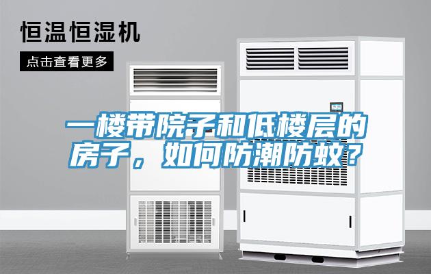 一樓帶院子和低樓層的房子，如何防潮防蚊？