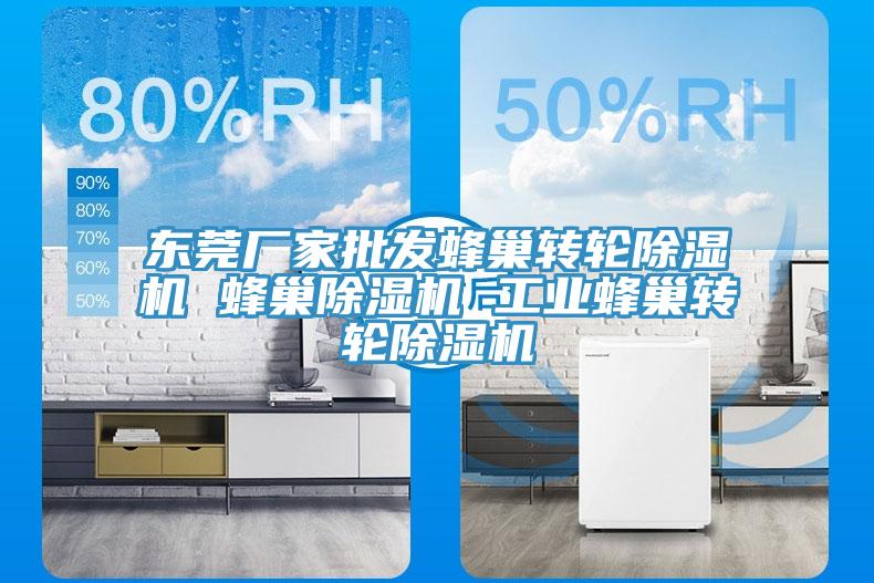 東莞廠家批發蜂巢轉輪除濕機 蜂巢除濕機 工業蜂巢轉輪除濕機