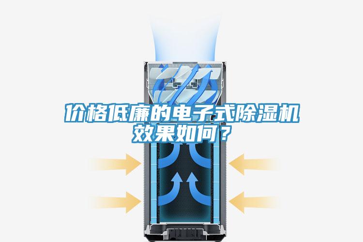 價格低廉的電子式除濕機效果如何？