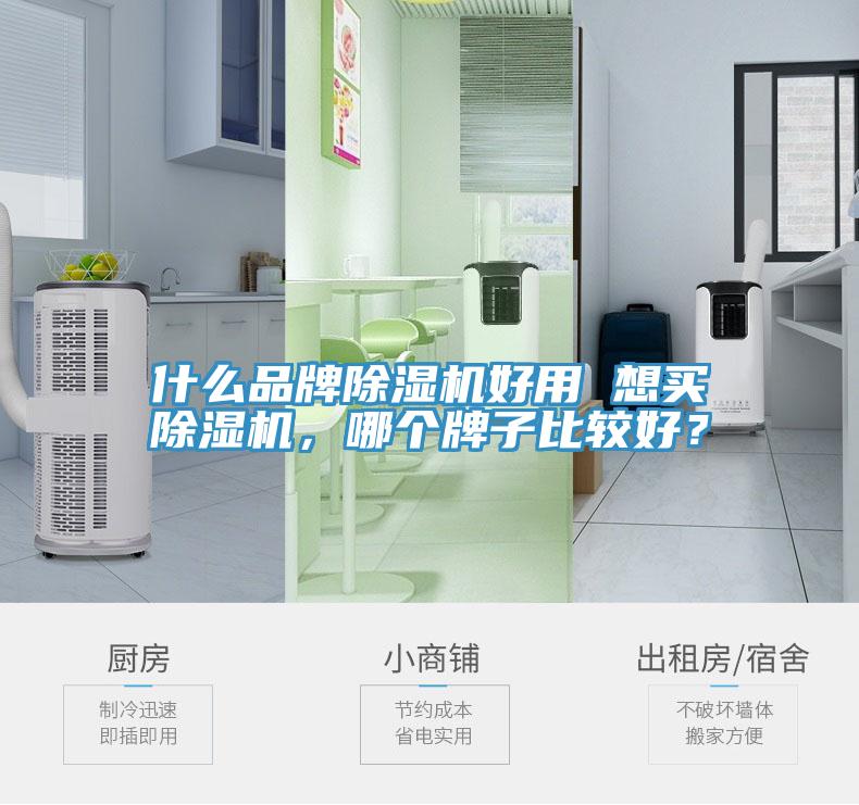 什么品牌除濕機好用 想買除濕機,哪個牌子比較好?