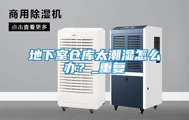 地下室倉(cāng)庫(kù)太潮濕怎么辦？_重復(fù)