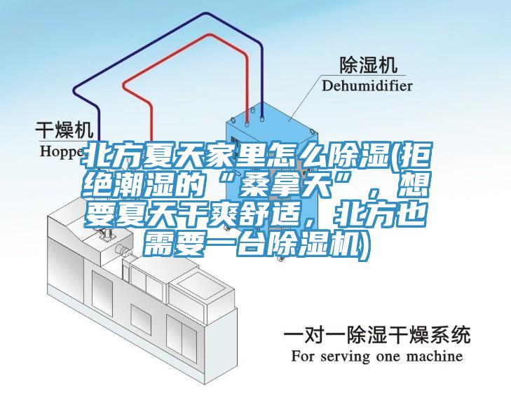 北方夏天家里怎么除濕(拒絕潮濕的“桑拿天”，想要夏天干爽舒適，北方也需要一臺(tái)除濕機(jī))