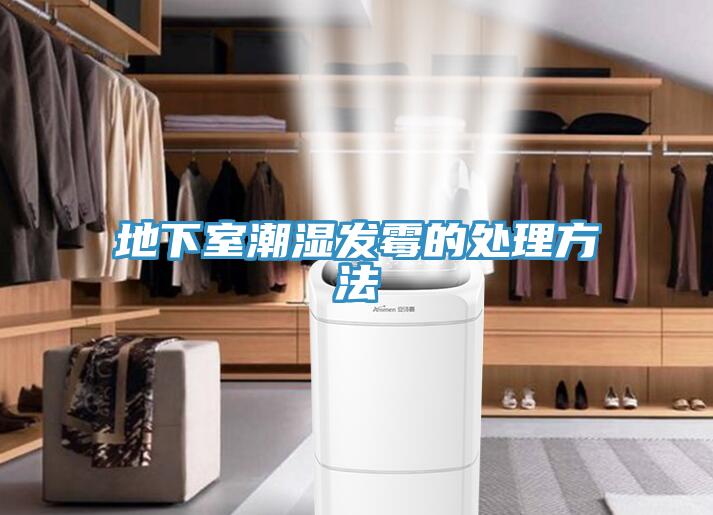 地下室潮濕發霉的處理方法