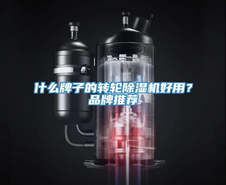 什么牌子的轉輪除濕機好用？品牌推薦