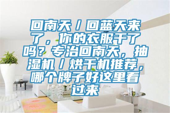 回南天／回藍天來了，你的衣服干了嗎？專治回南天，抽濕機／烘干機推薦，哪個牌子好這里看過來