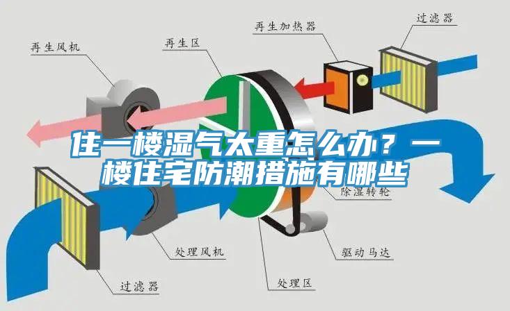 住一樓濕氣太重怎么辦?一樓住宅防潮措施有哪些