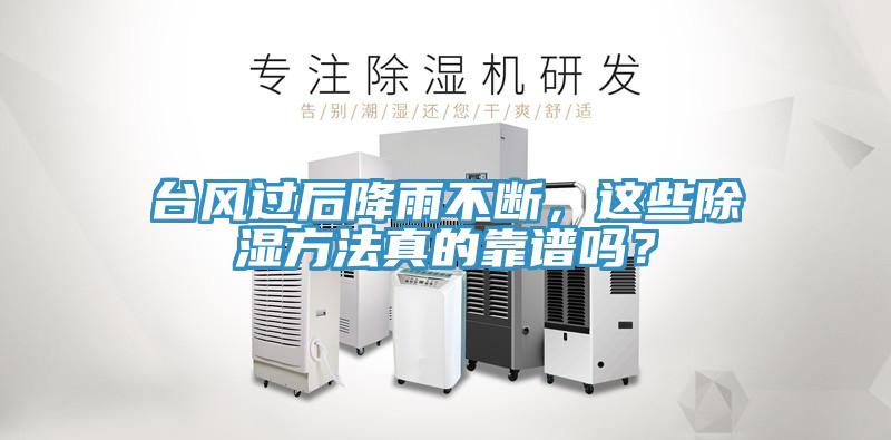 臺風過后降雨不斷，這些除濕方法真的靠譜嗎？