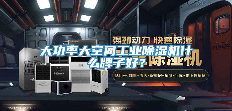 大功率大空間工業除濕機什么牌子好?