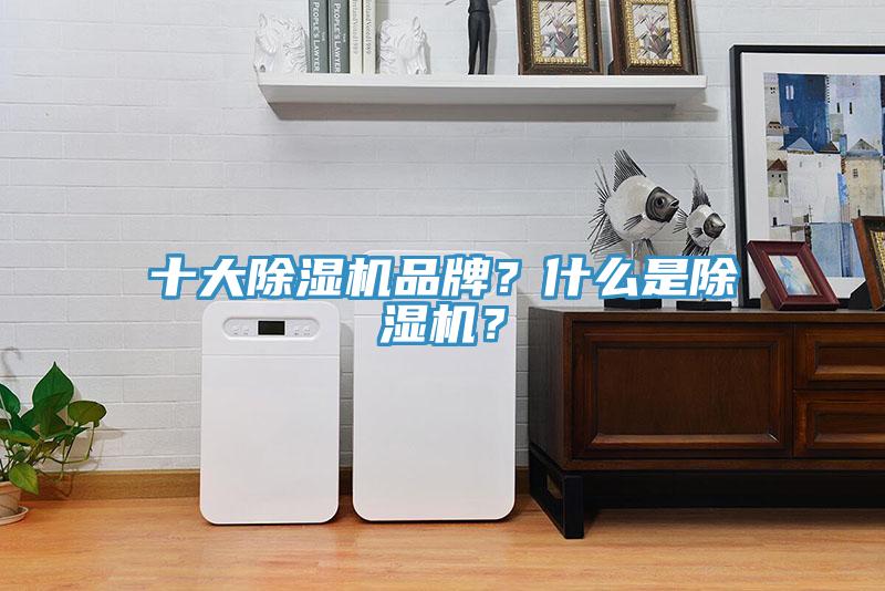 十大除濕機品牌？什么是除濕機？
