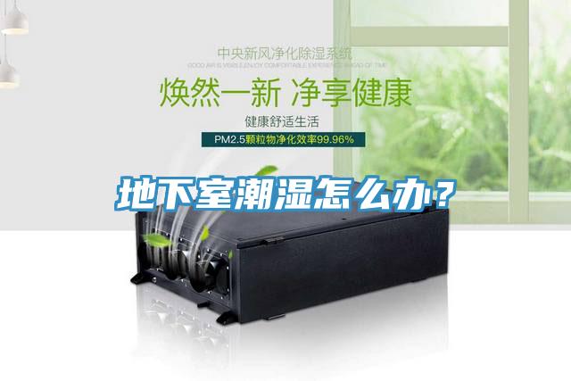 地下室潮濕怎么辦?