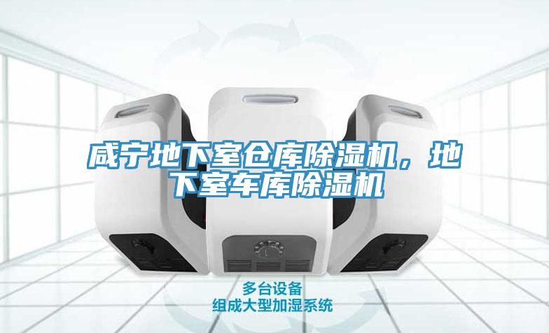 咸寧地下室倉庫除濕機(jī),地下室車庫除濕機(jī)