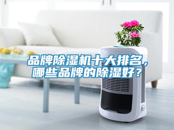 品牌除濕機(jī)十大排名,哪些品牌的除濕好?