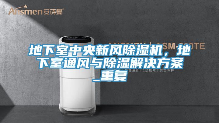 地下室中央新風除濕機，地下室通風與除濕解決方案_重復