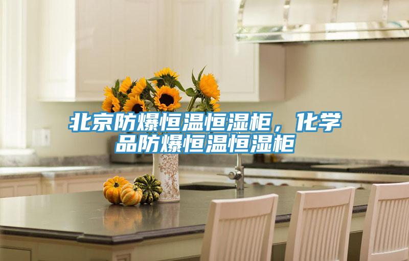 北京防爆恒溫恒濕柜,化學品防爆恒溫恒濕柜