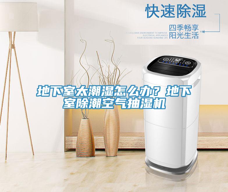 地下室太潮濕怎么辦?地下室除潮空氣抽濕機