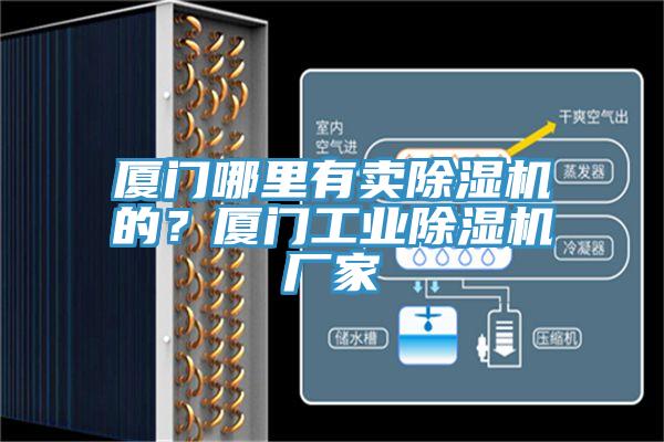 廈門哪里有賣除濕機的?廈門工業(yè)除濕機廠家