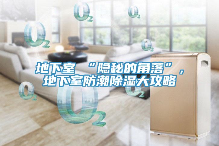 地下室≠“隱秘的角落”，地下室防潮除濕大攻略
