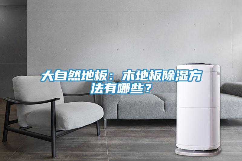 大自然地板:木地板除濕方法有哪些?