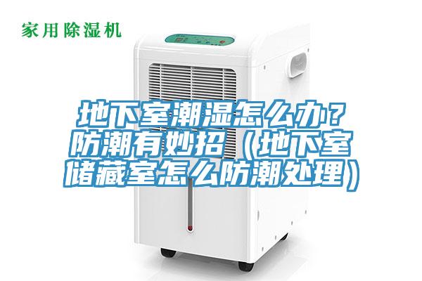 地下室潮濕怎么辦?防潮有妙招(地下室儲藏室怎么防潮處理)