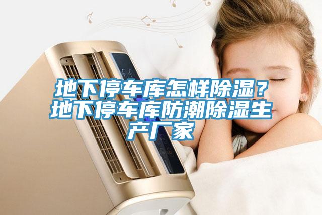 地下停車庫(kù)怎樣除濕？地下停車庫(kù)防潮除濕生產(chǎn)廠家