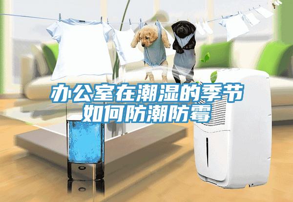 辦公室在潮濕的季節如何防潮防霉