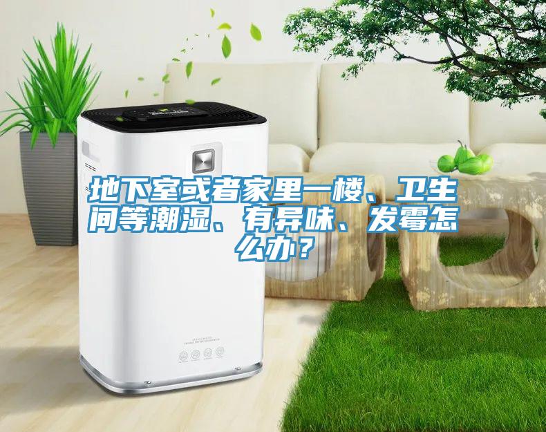 地下室或者家里一樓、衛生間等潮濕、有異味、發霉怎么辦？