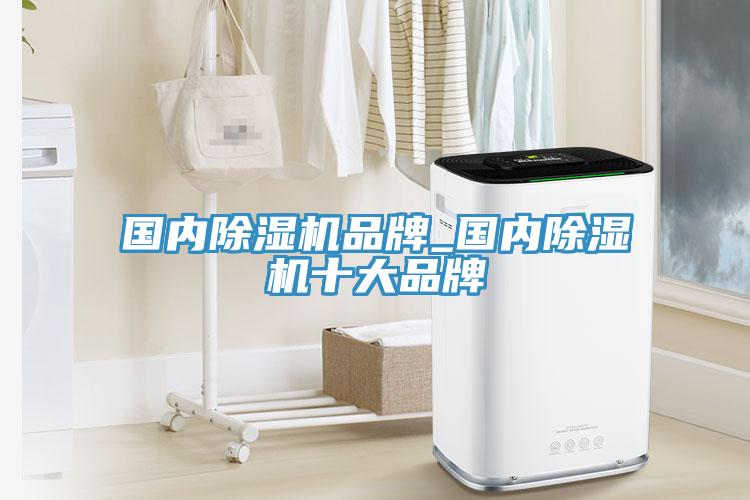 國內除濕機品牌_國內除濕機十大品牌