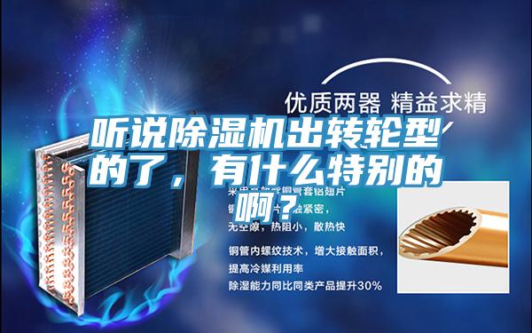 聽說除濕機出轉(zhuǎn)輪型的了，有什么特別的?。?></div>
								<div   id=