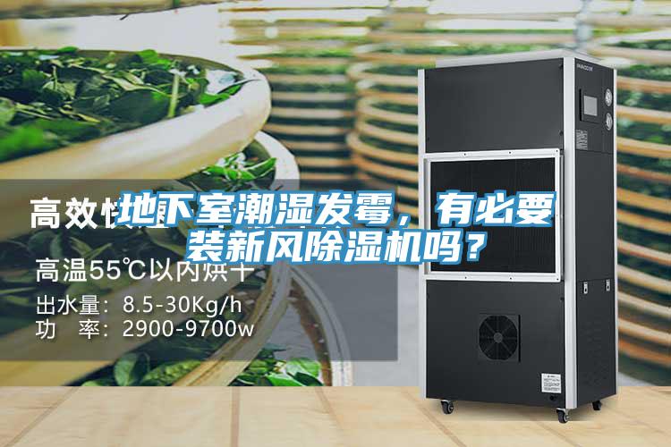 地下室潮濕發霉，有必要裝新風除濕機嗎？