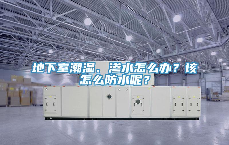 地下室潮濕、滲水怎么辦？該怎么防水呢？