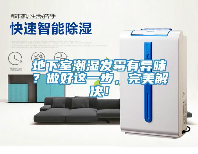 地下室潮濕發霉有異味？做好這一步，完美解決！